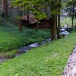 sokobanja-banjica-priroda